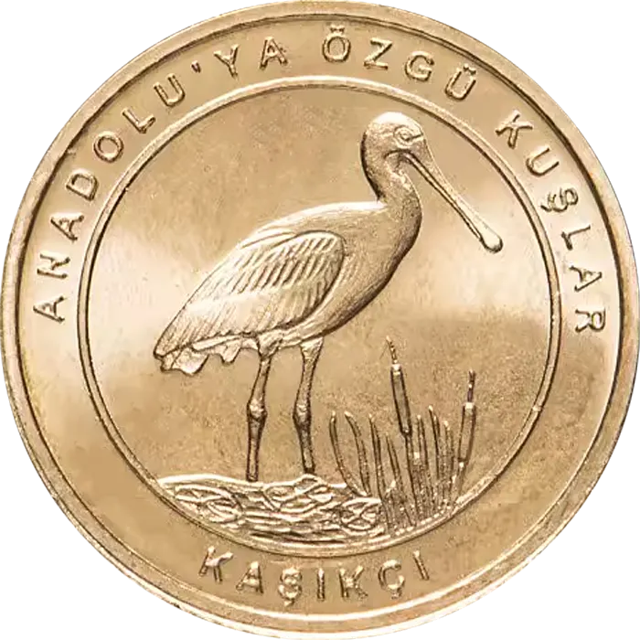 Kaşıkçı
